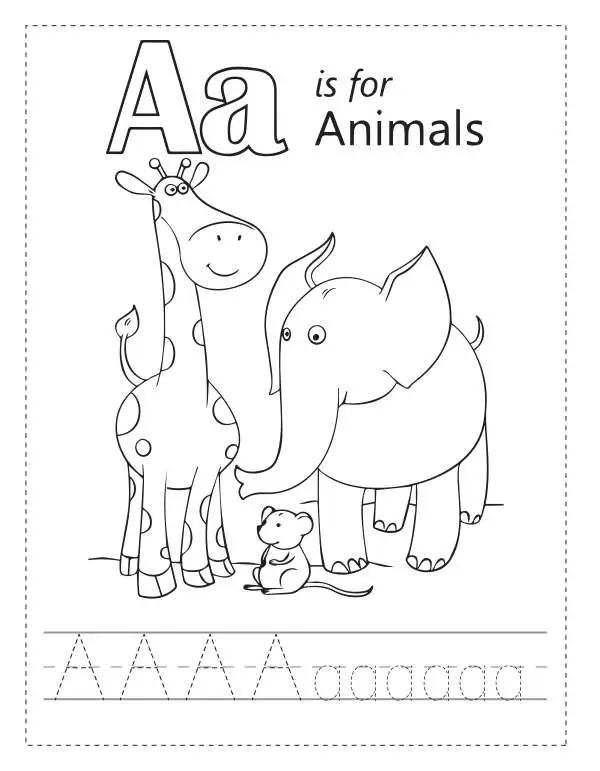 Inner Pages UPDATED-2