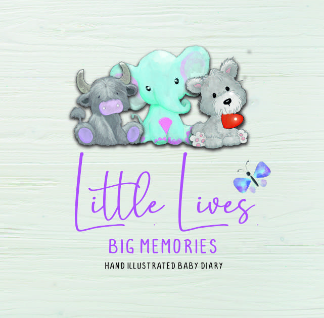 Little Lives Big Memories: Baby Diary Journal
