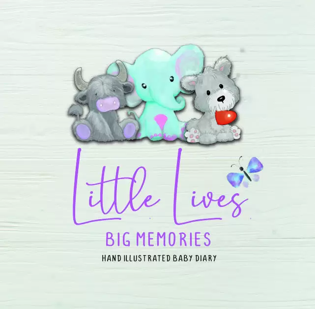 Little Lives Big Memories: Baby Diary Journal