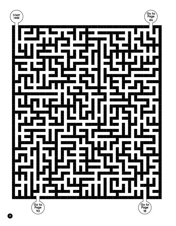 Maze Challenge