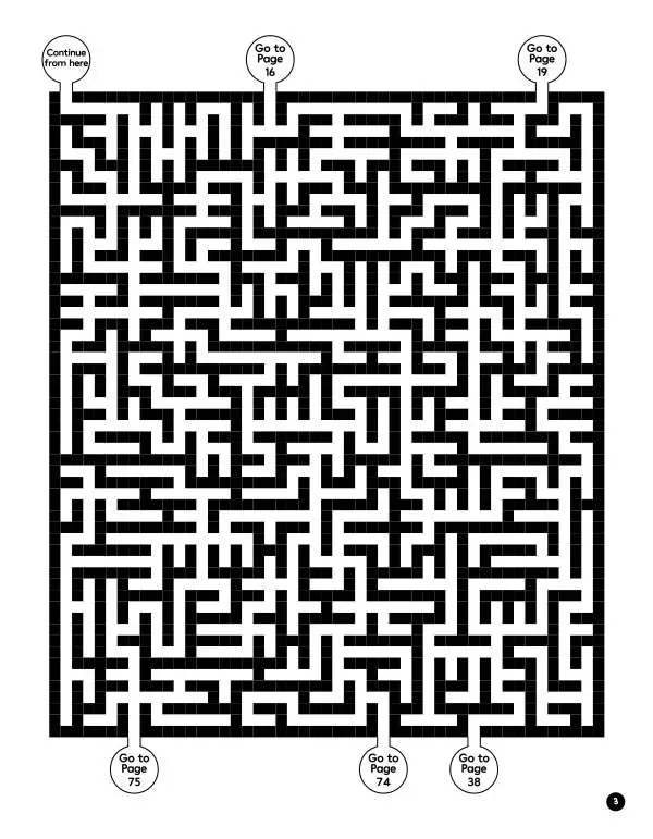 Maze Challenge