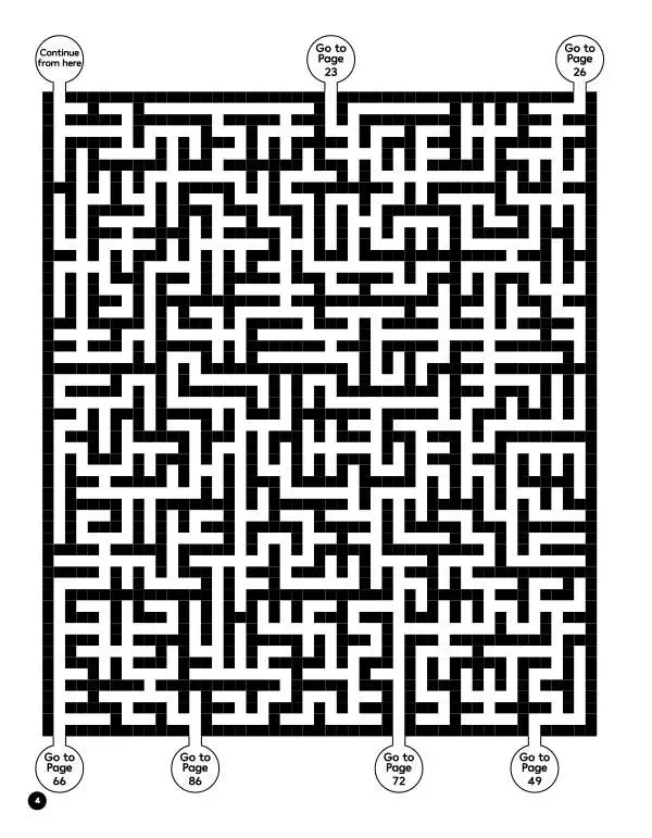 Maze Challenge