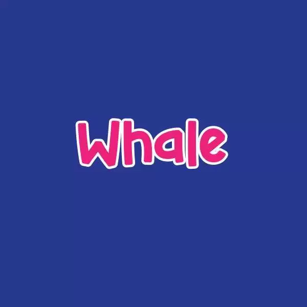 Whale