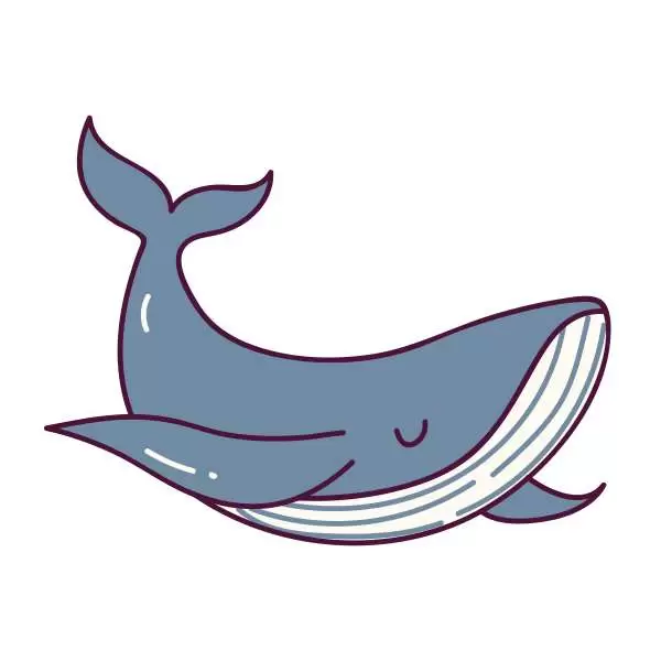 Whale