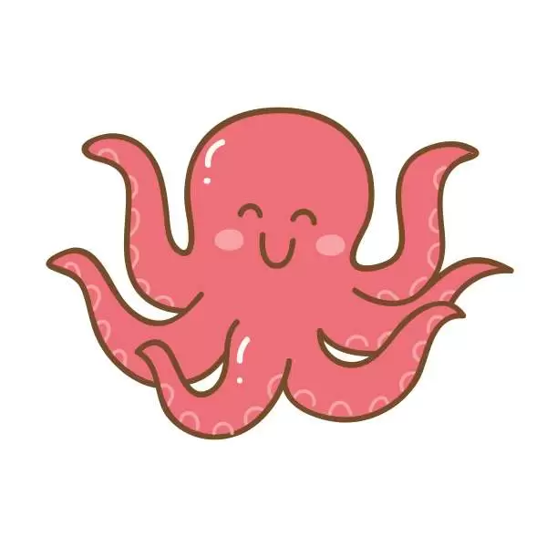 Octopus Octopus