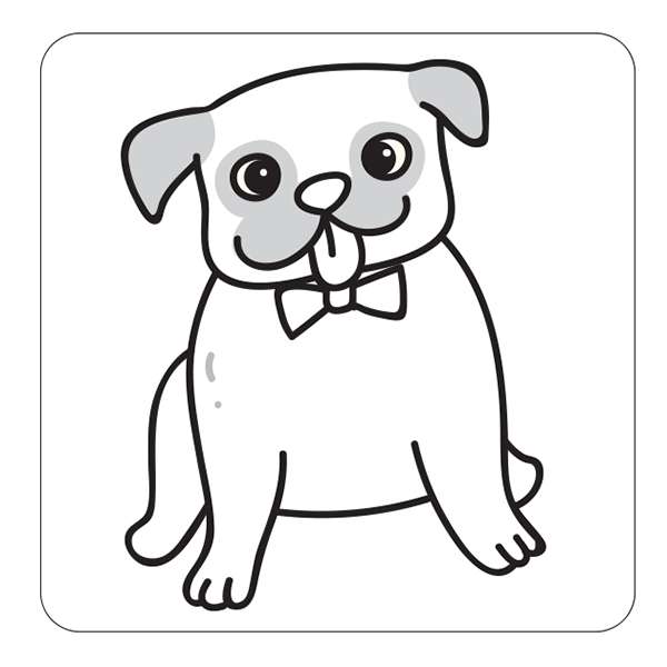 Pet colouring Book Toddlers